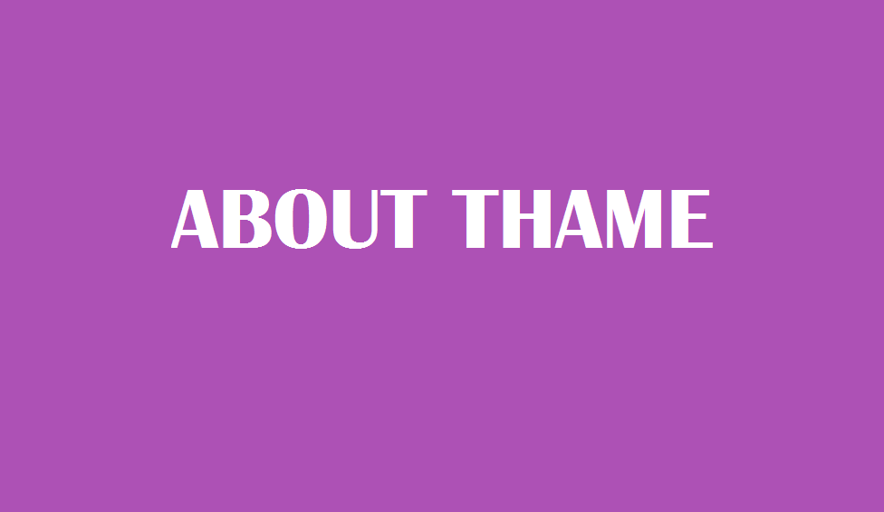 ABOUT THAME