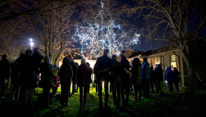 tree-of-light