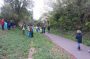 thame tidy 2017