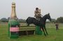 thame horse and country show